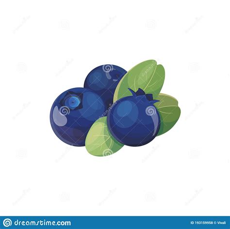 Vector Icon Of Realistic Blueberry Blueberry Icon Element For Logo