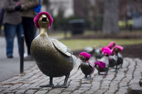 Local Museum Seeks To Preserve Pink ‘pussyhats From Womens March