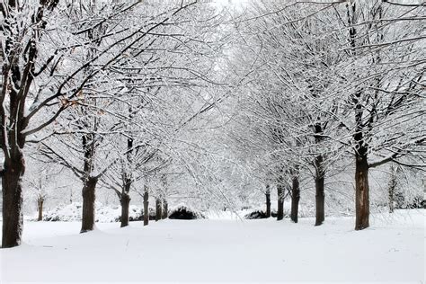 Michigan Winter 3 By Scott Hovind On 500px Winter Photos Scenery