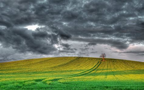 England Scenery Fields Tree Cloudy Sky Wallpaper Nature And
