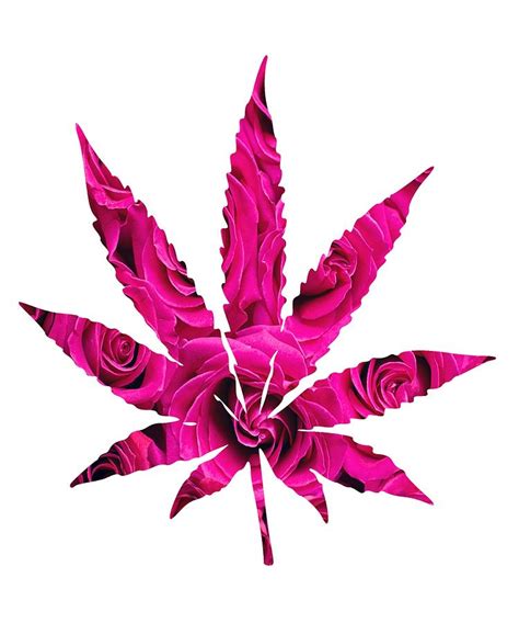 Cannabis Rainbow Design 48 Digital Art By Kaylin Watchorn