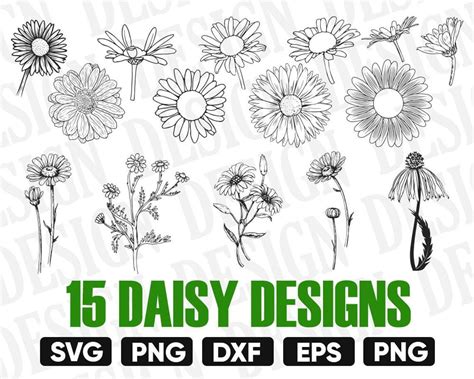 Daisy Svg Bundle Flower Svg Daisy Cut File Floral Svg Spring Svg