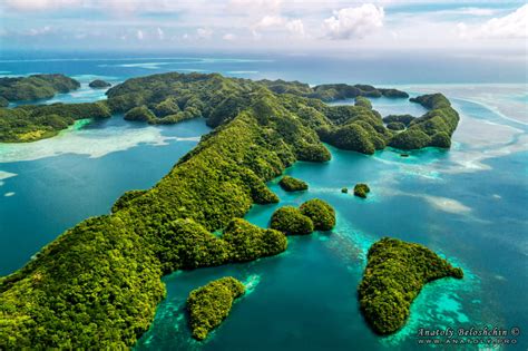 Falling In Love With Palau
