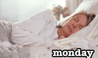 Or link the monday gifs in a forum reaction. Monday GIF by theCHIVE - Find & Share on GIPHY