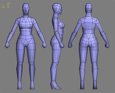 I always get it wrong there's a really good side view breakdown in bridgman's constructive anatomy book, however i can't find it! Tutorial images : 3D Character Modeling | Layth Jawad in ...
