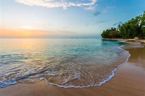 beautiful barbados beaches best beaches in barbados
