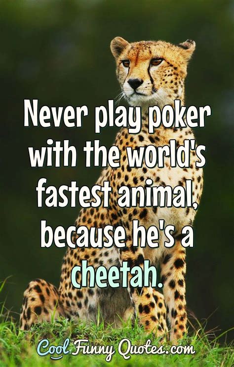 Funny Animal Quotes Cool Funny Quotes