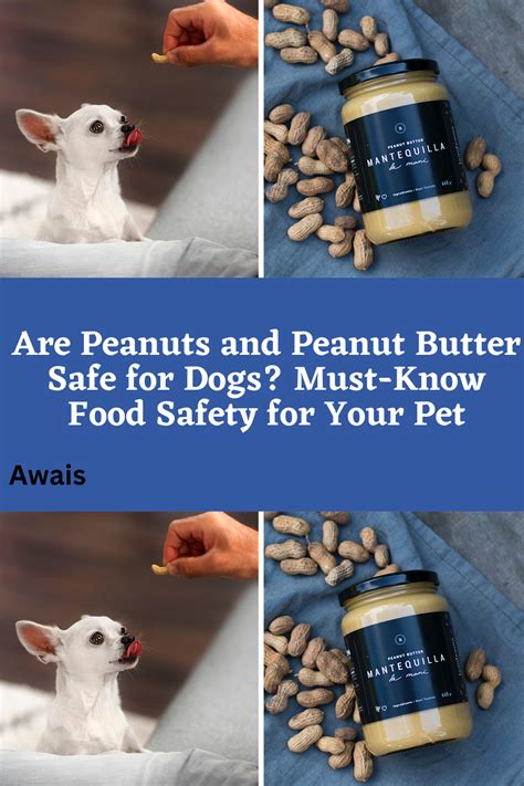 Are Peanuts And Peanut Butter Safe For Dogs Must Know Food Safety For