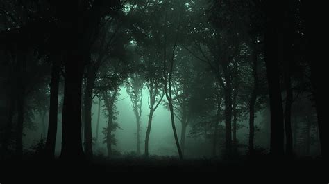 10 Most Popular Dark Forest Wallpapers Hd Full Hd 1920×1080 For Pc