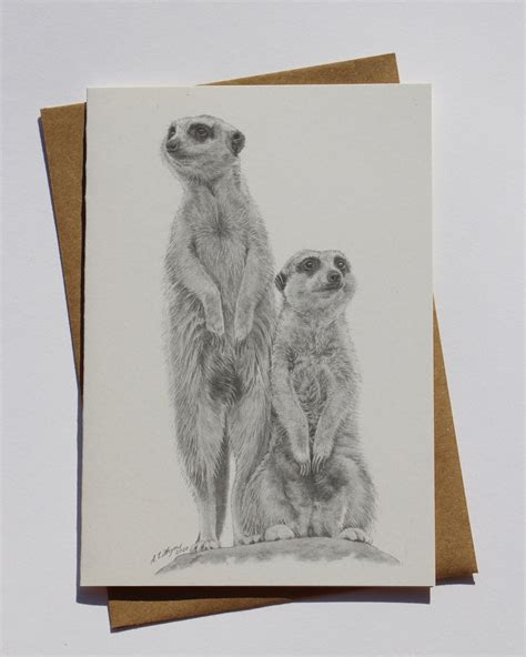 Greeting Card Meerkats Zoo Shop
