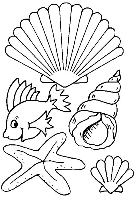 Voir plus d'idées sur le thème coquillage de mer, coquillage, coquillage dessin. 19 dessins de coloriage Coquillage De Mer à imprimer