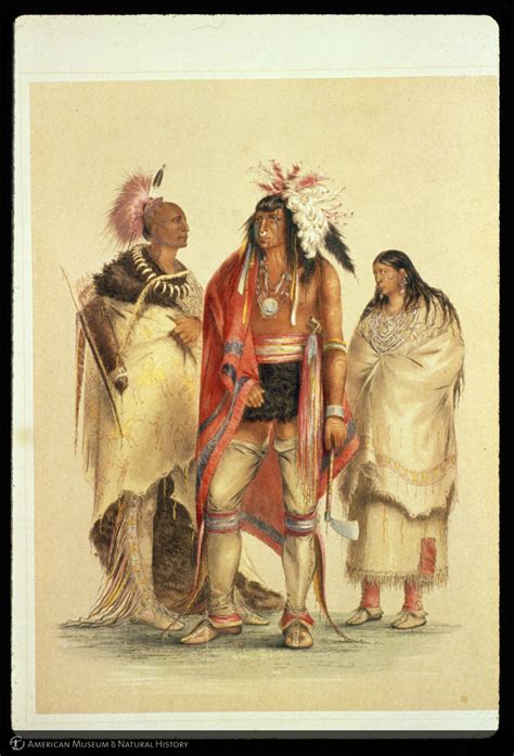 Amnh Research Library Digital Special Collections Three Native