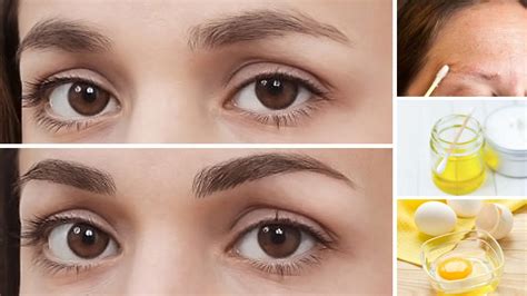How To Grow Thick Eyebrows Naturally Youtube