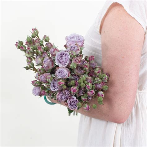 Lavender Spray Rose Flower Diy Wedding Flowers Flower Moxie