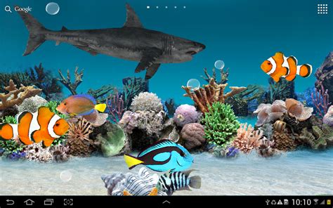 48 3d Live Aquarium Wallpapers On Wallpapersafari