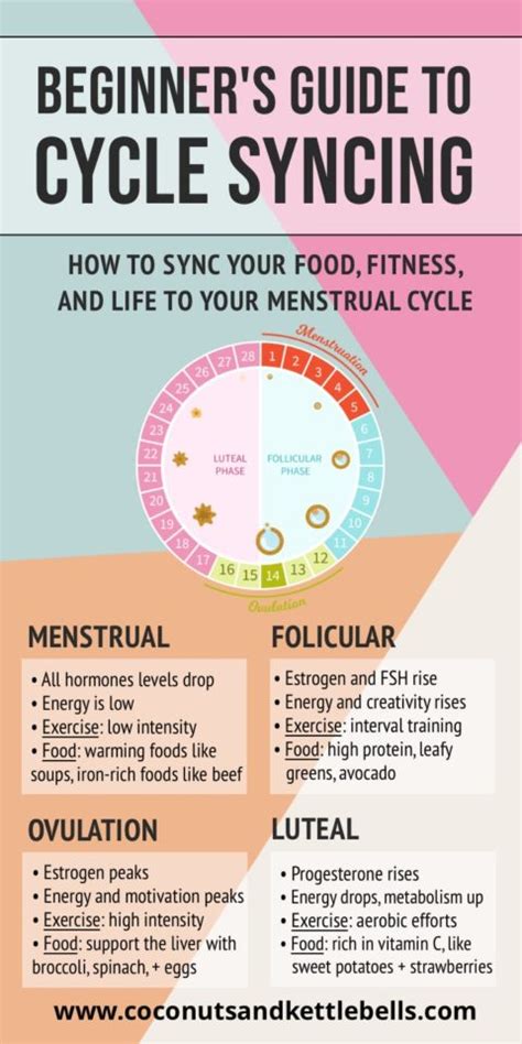 Cycle Syncing Diet What To Eat In Each Phase Of Your Menstrual Cycle