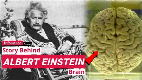 What Made Albert Einstein A Genius Why Was Einstein So Smart