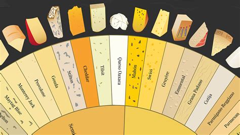 Infographic How To Tell The Difference Between 66 Varieties Of Cheese
