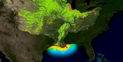 2019 Gulf Of Mexico “dead Zone” Is The Second Biggest On Record And The