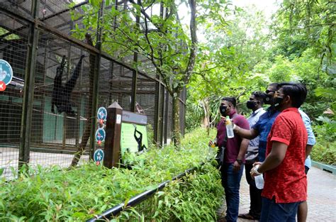 Malaysia's movement control order (mco) has been extended until 31st august 2020 and it is now malaysia has been placed under a movement control order (mco) for 82 days since 18th march 2020. MCO: Zoo Negara needs food donations - Malaysia Daily News