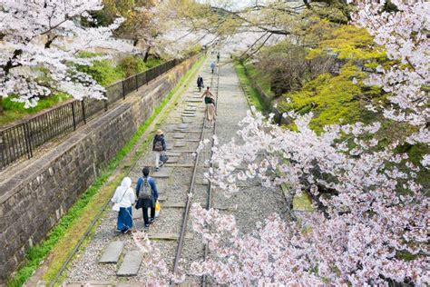 Keage Incline With Sakura Cherry Blossoms Kyoto Japan Stock Image