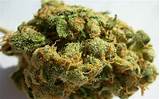 Pictures of Weed Pot Marijuana