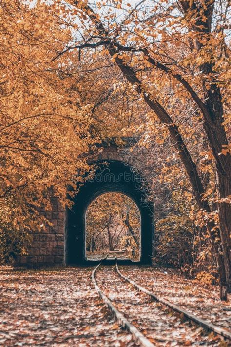 Autumn And The Railway Railroad Pass Through The Tunnel Stock Image