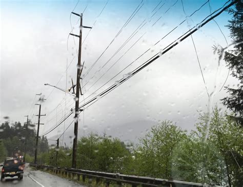 Silhouette of sneakers on power lines. Tree takes out SEAPA & KPU power lines - KRBD