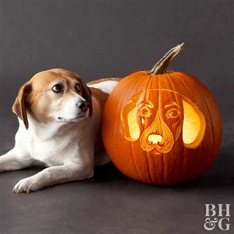 24 Free Pumpkin Carving Stencils Of Favorite Dog Breeds