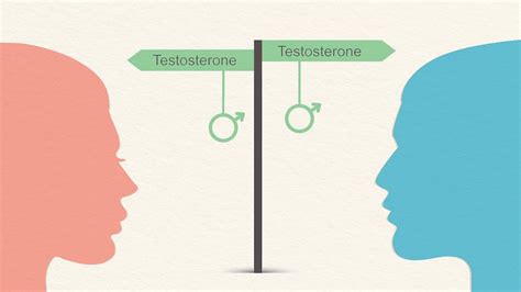 Testosterone Mysteries Whats Up With This Hormone Everyday Health