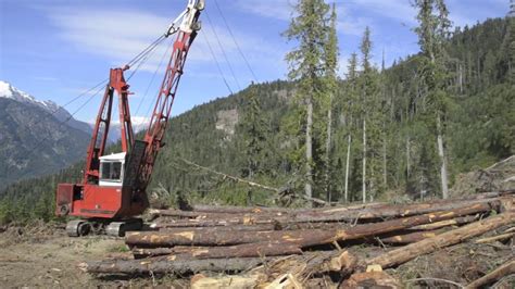 Forestry In British Columbia Canada Youtube