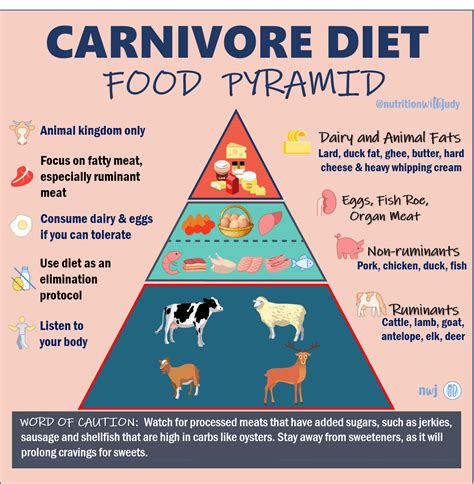 What List Describes The Diet Of A Carnivore Diet Cgh