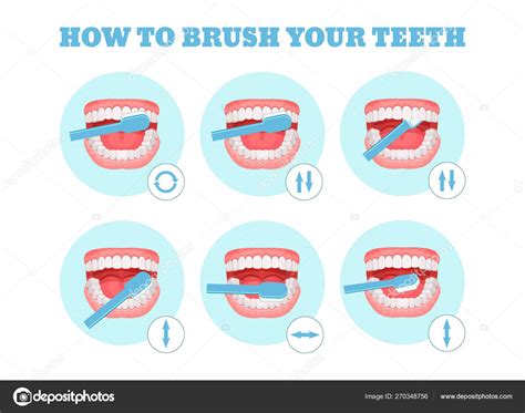 Step By Step Scheme Instructions On How To Brush Your Teeth Properly