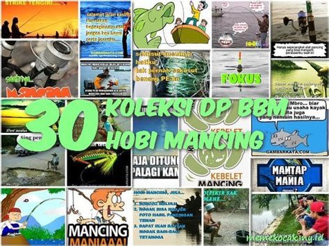 30 Koleksi DP BBM Hobi Mancing - Meme Kocak Bikin Ngakak