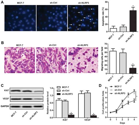Nlrp3 Inflammasome Inactivation Driven By Mir‑223‑3p Reduces Tumor