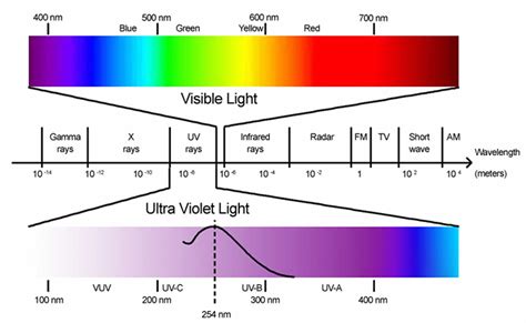 Ultraviolet Light Rays