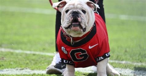The Boom Is Here Uga Xi Officially Takes Over As Georgia Bulldogs