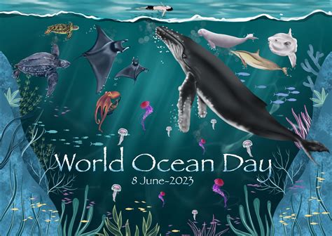 World Ocean Day Wildlife Institute Of India World Ocean Day