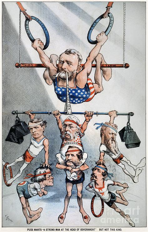 Us Grant Cartoon 1880 Photograph By Granger