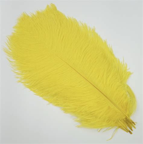 Coloured Ostrich Craft Feathers 5 Pack Ebay