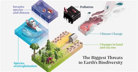 Visualizing The Biggest Threats To Earths Biodiversity