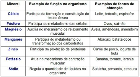 Minerais No Organismo Mundo Educação