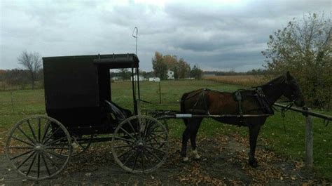 Order online tickets tickets see availability directions. Best 25+ Amish store ideas on Pinterest | Amish market ...