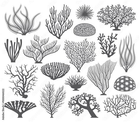 Coral Formations Vector Silhouettes Stock Vector Adobe Stock