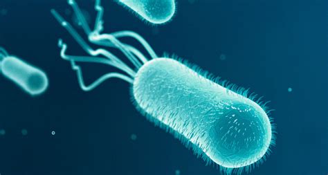 Bacteria Help Water Effortlessly Go With The Flow Science News For