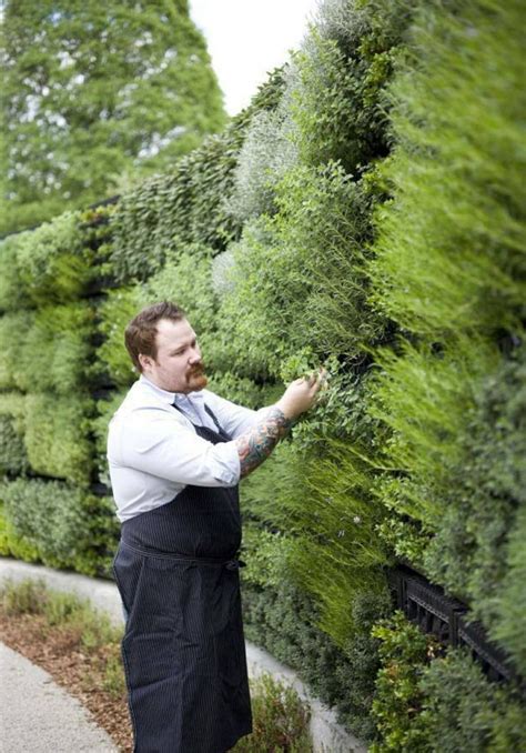Vertical Herb Garden Herb Gardensgardening Plans Tips