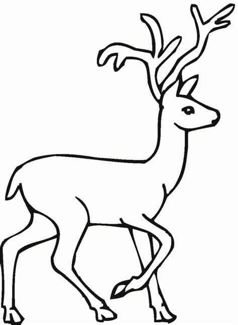 If you consider that your copyright is violated on. Deer Coloring Pages | Free download on ClipArtMag