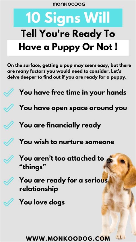 Pin On General Dog Care Tips Helpful Tips For Dogs