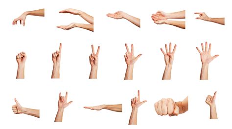 Simple Hand Palm Drawing Clip Art Library