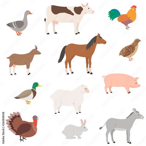 Farm Animals Set Domestic Animal Goose Cow Chicken Horse Goat